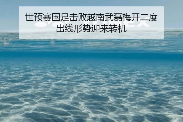 世预赛国足击败越南武磊梅开二度 出线形势迎来转机